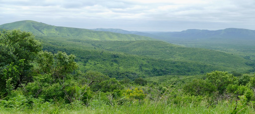 green hills of africa