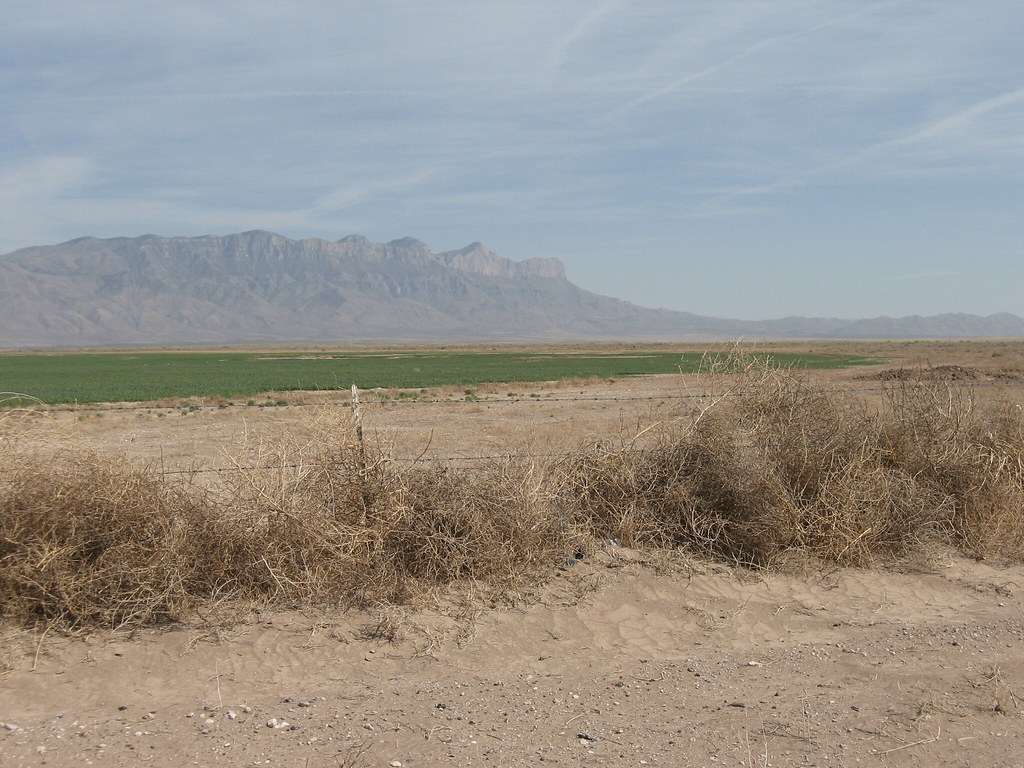 no country for old men